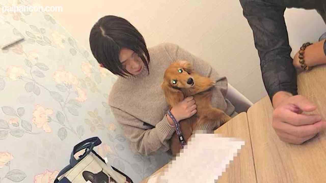 FC2-PPV-3129172 - 【個人】黒髪ショートの犬好き新妻。愛犬の散歩中に捕まえ新婚宅まで押し入りペットも気にせず中出し制裁 thumbnail_1.jpg