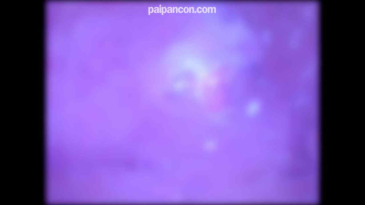 FC2-PPV-4690187 - ★特典で無修正と膣内カメラ ♀157 おじさんは感度抜群のおなごとべろちゅー＆半外半中で生中出ししまくってエナジーを吸収して生きているんです♡ thumbnail_8.jpg