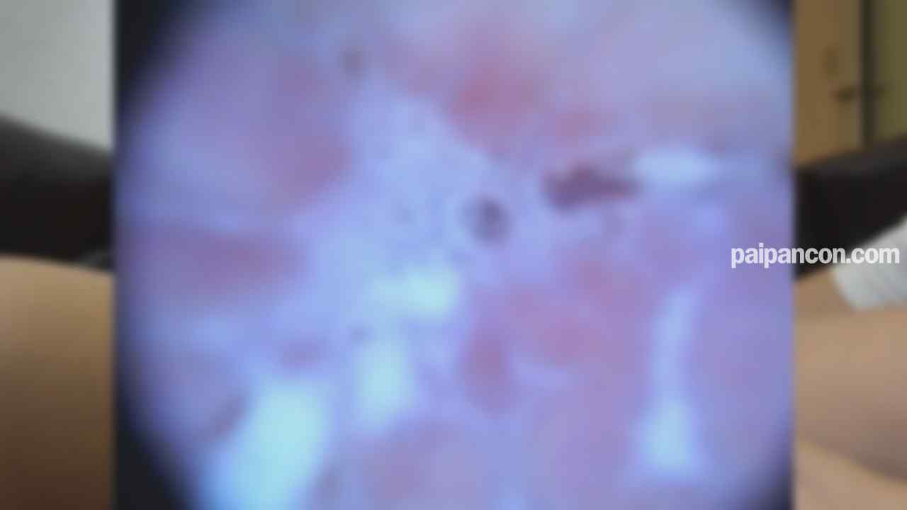 FC2-PPV-4862856 - ※出産前祝い特別価格【無修正】猥褻妊婦ラスト降臨！！9ヵ月目に入いる美人妊婦の和香ちゃん。お医者様からも「そろそろ性行為は控えてください...と」 ならば呼び出して今のうちにハメまくりましょう！！優し thumbnail_5.jpg